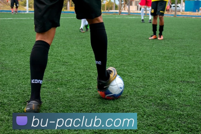 PA体育模拟器APP 封面图